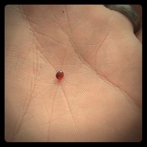 1 quarter carat garnet